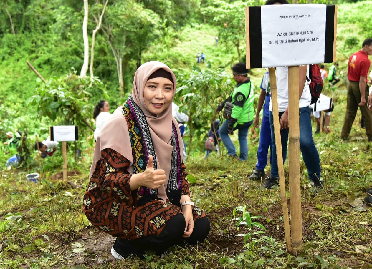 TANAM PHON2